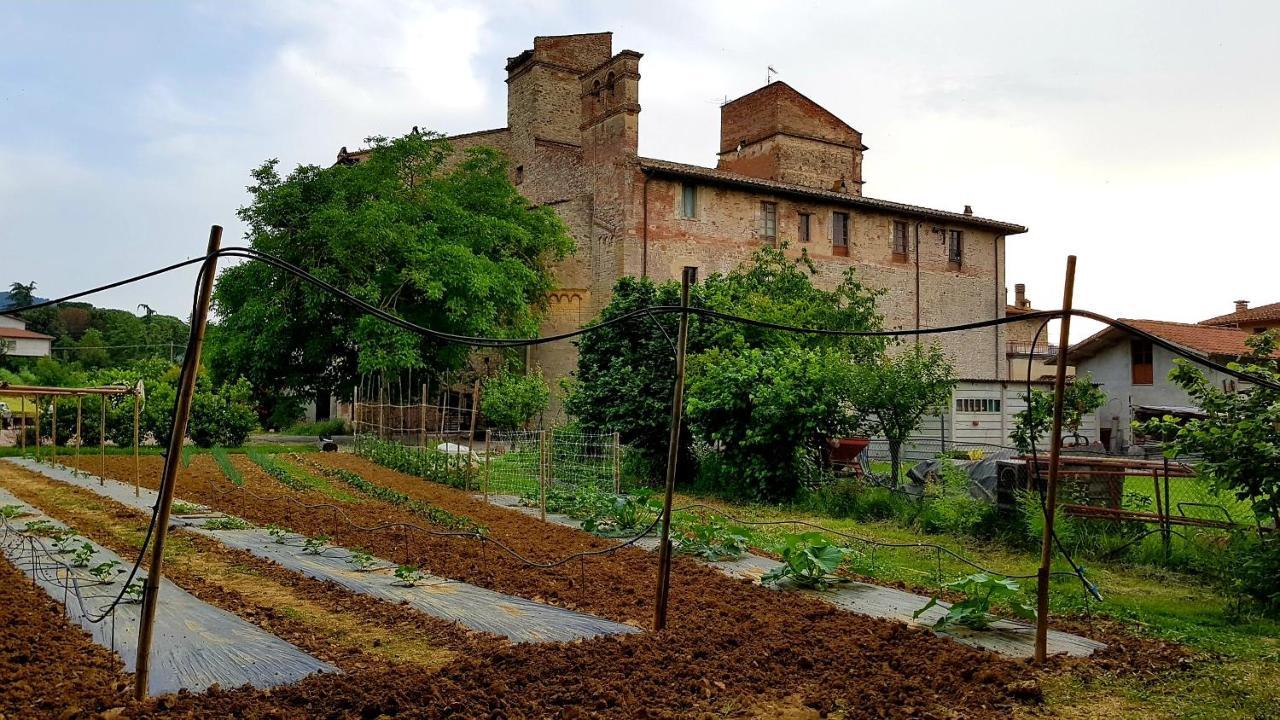 Agriturismo Abbazia Sette Frati A Casa Di Sara Villa Pietrafitta  Luaran gambar