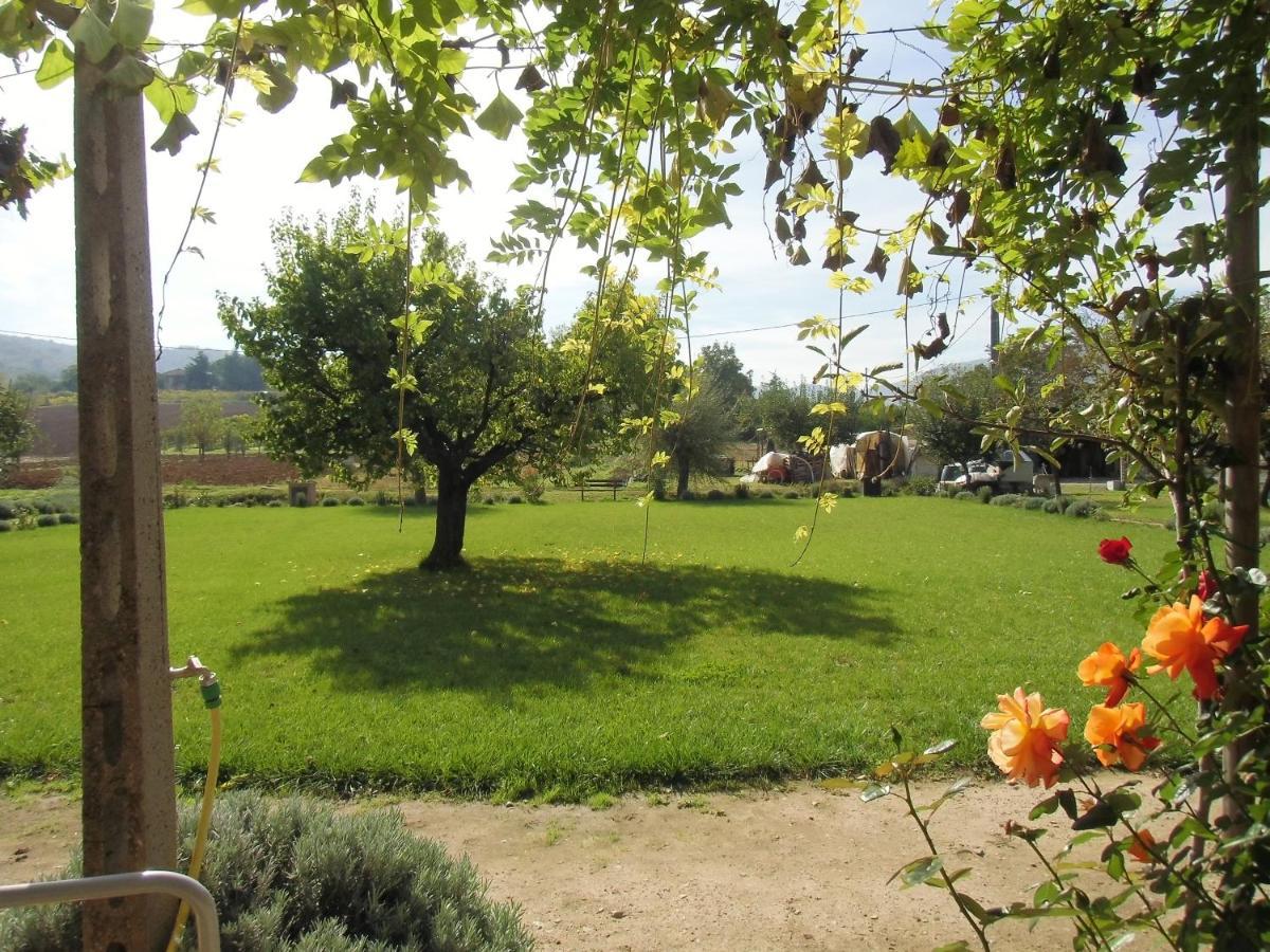Agriturismo Abbazia Sette Frati A Casa Di Sara Pietrafitta  Luaran gambar